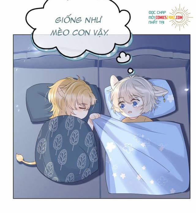 Một Ngụm Nuốt Trọn Thỏ Con 14 trang 47