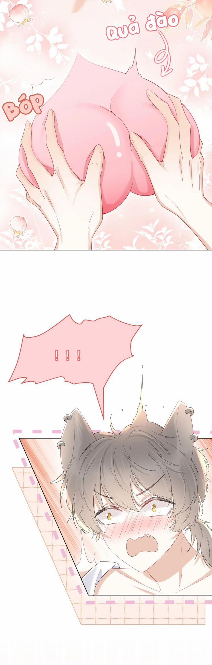 Một Ngụm Nuốt Trọn Thỏ Con 18 trang 22