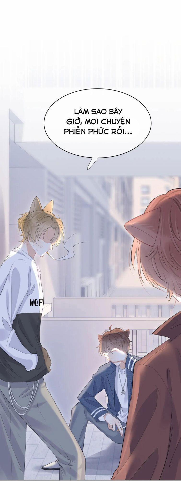 Một Ngụm Nuốt Trọn Thỏ Con 19 trang 1