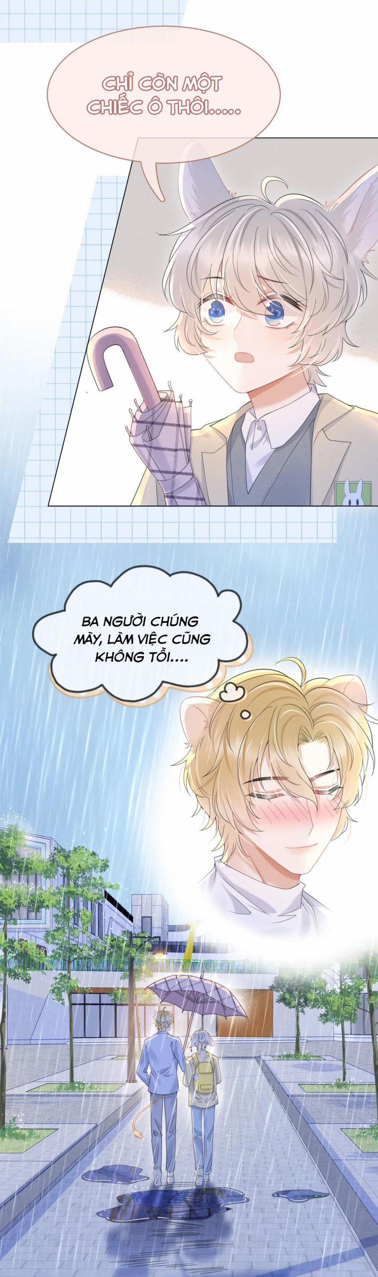 Một Ngụm Nuốt Trọn Thỏ Con 24 trang 12