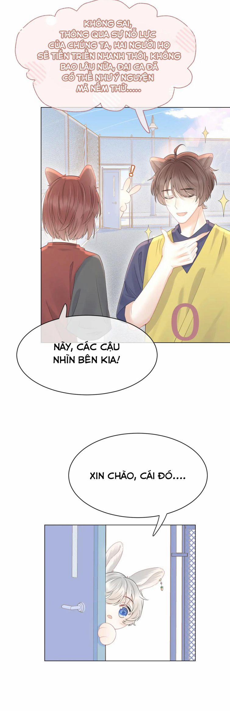 Một Ngụm Nuốt Trọn Thỏ Con 24 trang 17