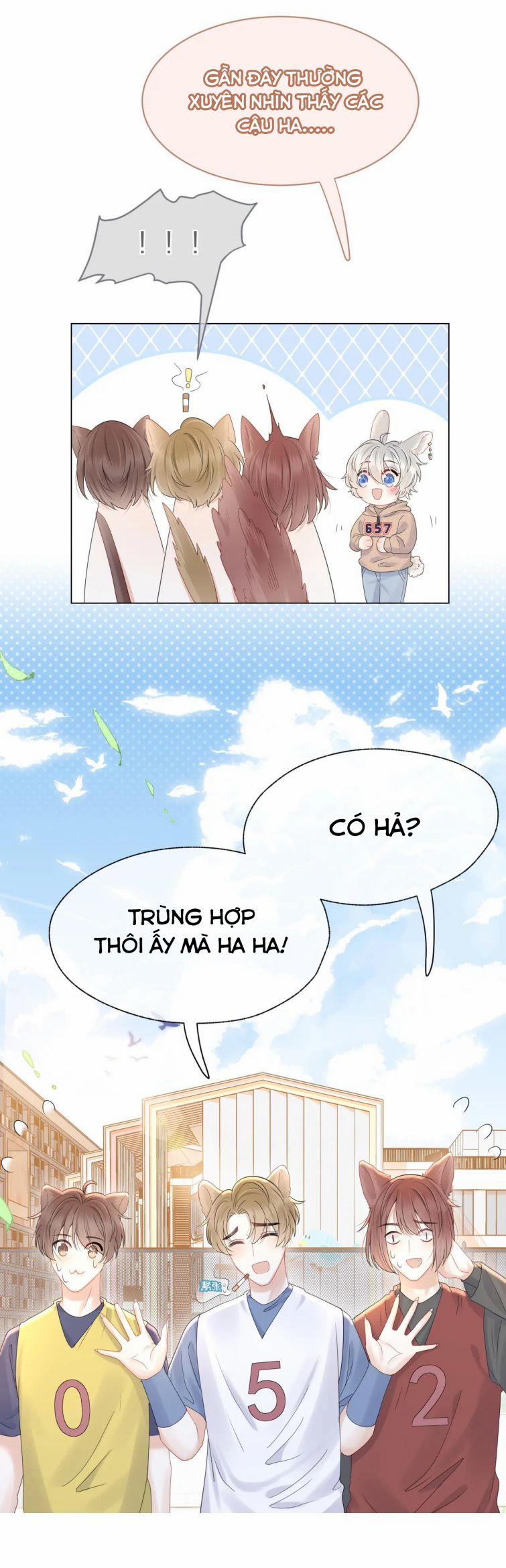 Một Ngụm Nuốt Trọn Thỏ Con 24 trang 18