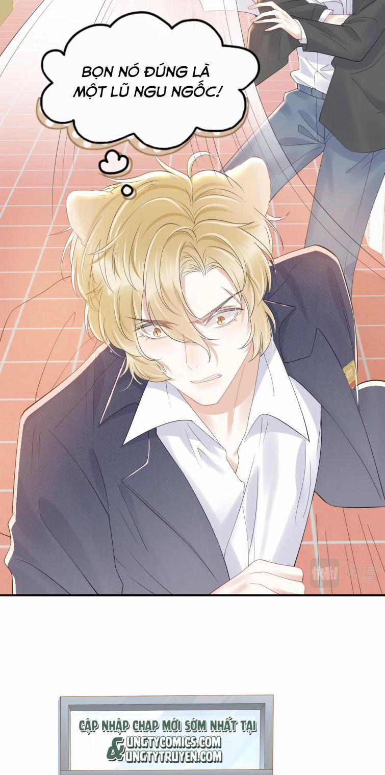 Một Ngụm Nuốt Trọn Thỏ Con 28 trang 13