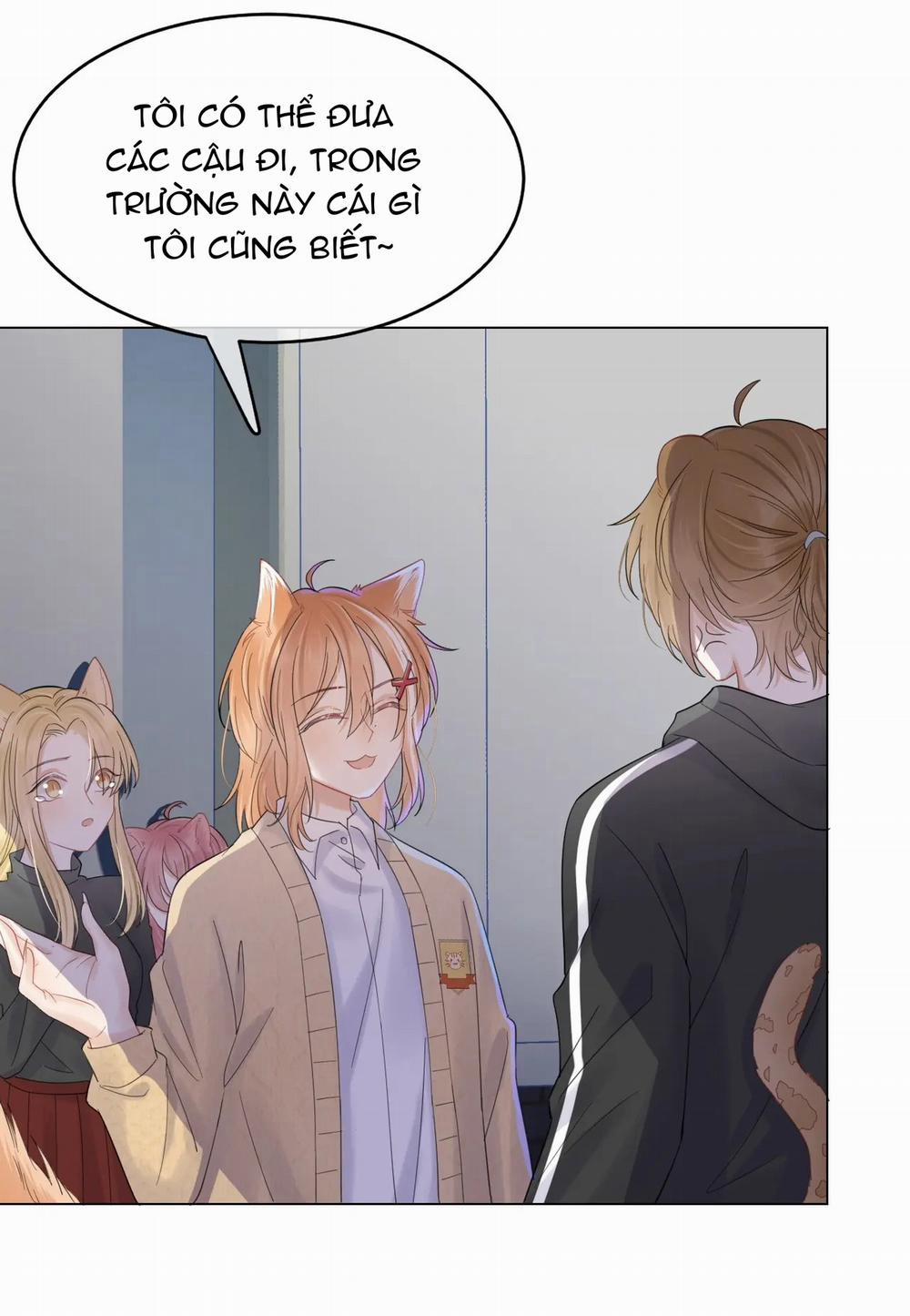 Một Ngụm Nuốt Trọn Thỏ Con 31 trang 12