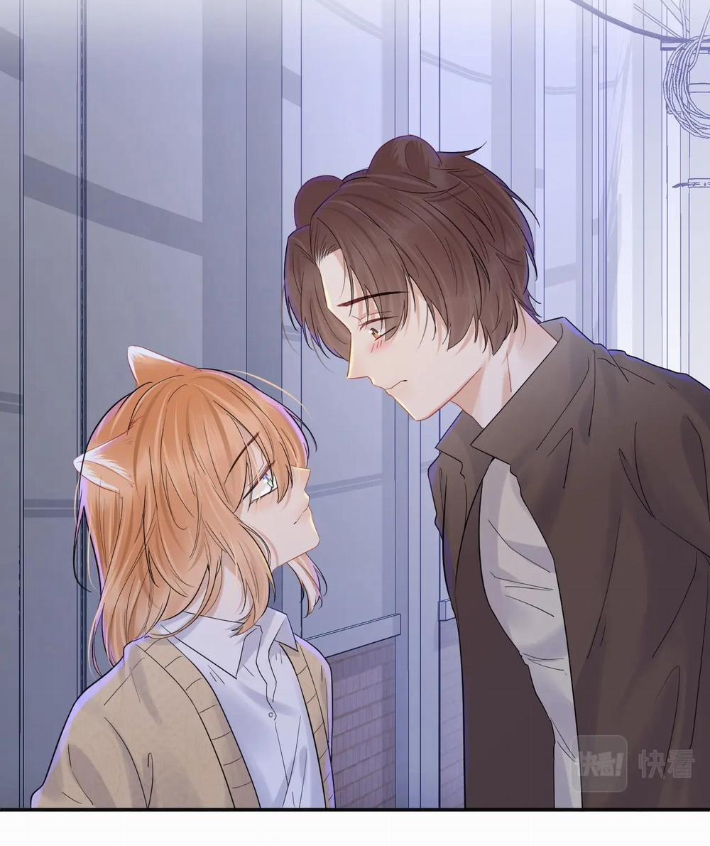 Một Ngụm Nuốt Trọn Thỏ Con 31 trang 23