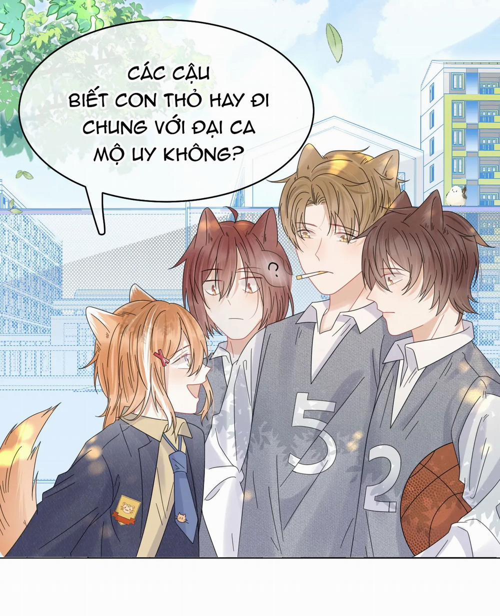 Một Ngụm Nuốt Trọn Thỏ Con 32 trang 41