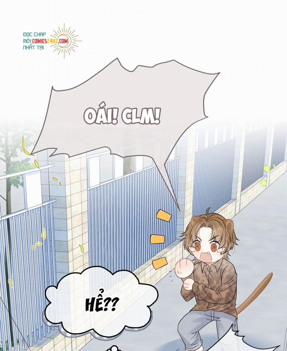 Một Ngụm Nuốt Trọn Thỏ Con 33 trang 13