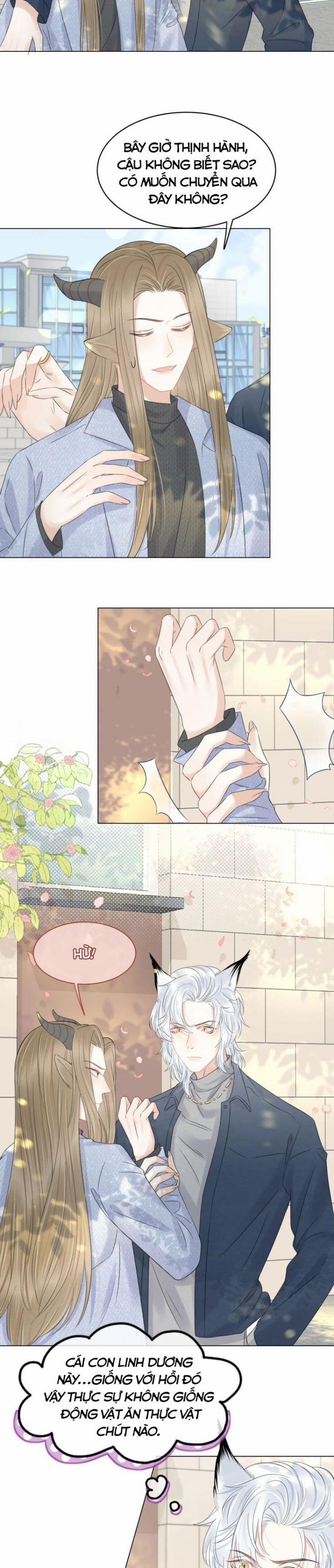 Một Ngụm Nuốt Trọn Thỏ Con 36 trang 15