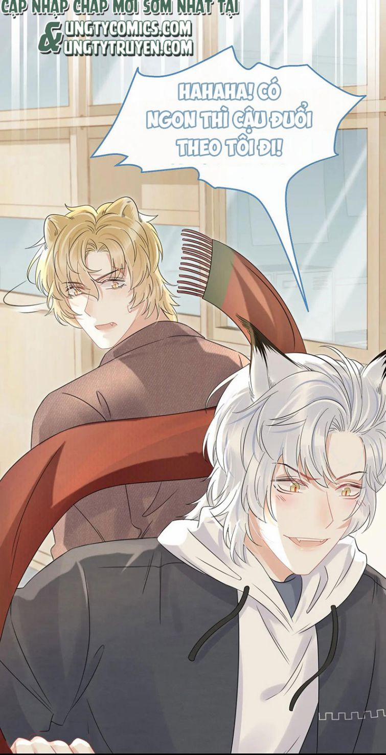 Một Ngụm Nuốt Trọn Thỏ Con 37 trang 17