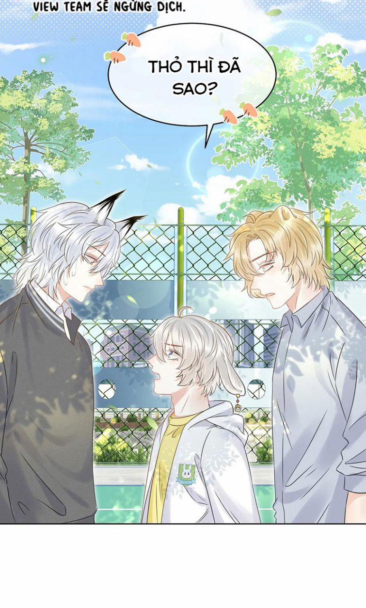 Một Ngụm Nuốt Trọn Thỏ Con 37 trang 37