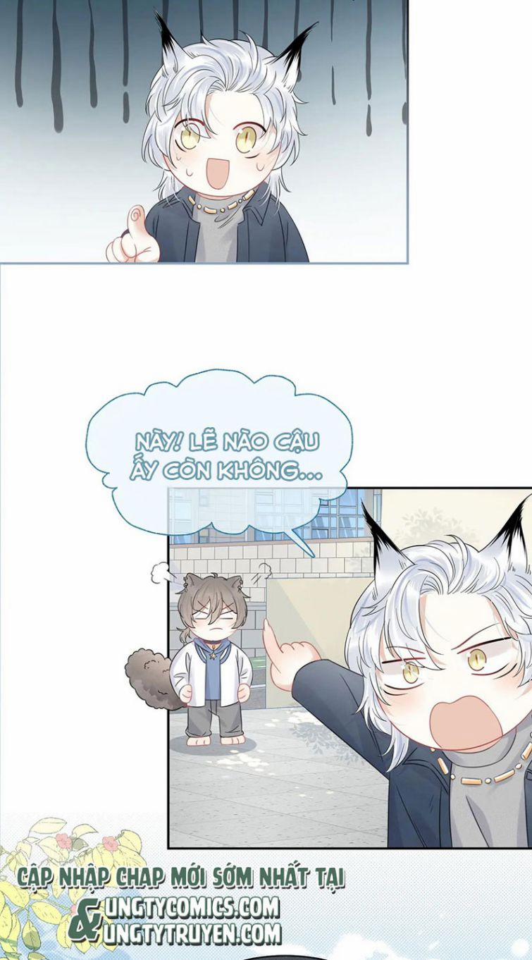 Một Ngụm Nuốt Trọn Thỏ Con 37 trang 4