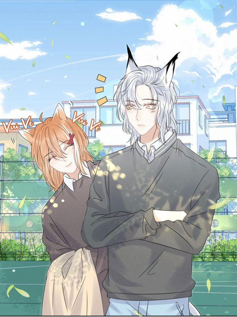 Một Ngụm Nuốt Trọn Thỏ Con 38 trang 10