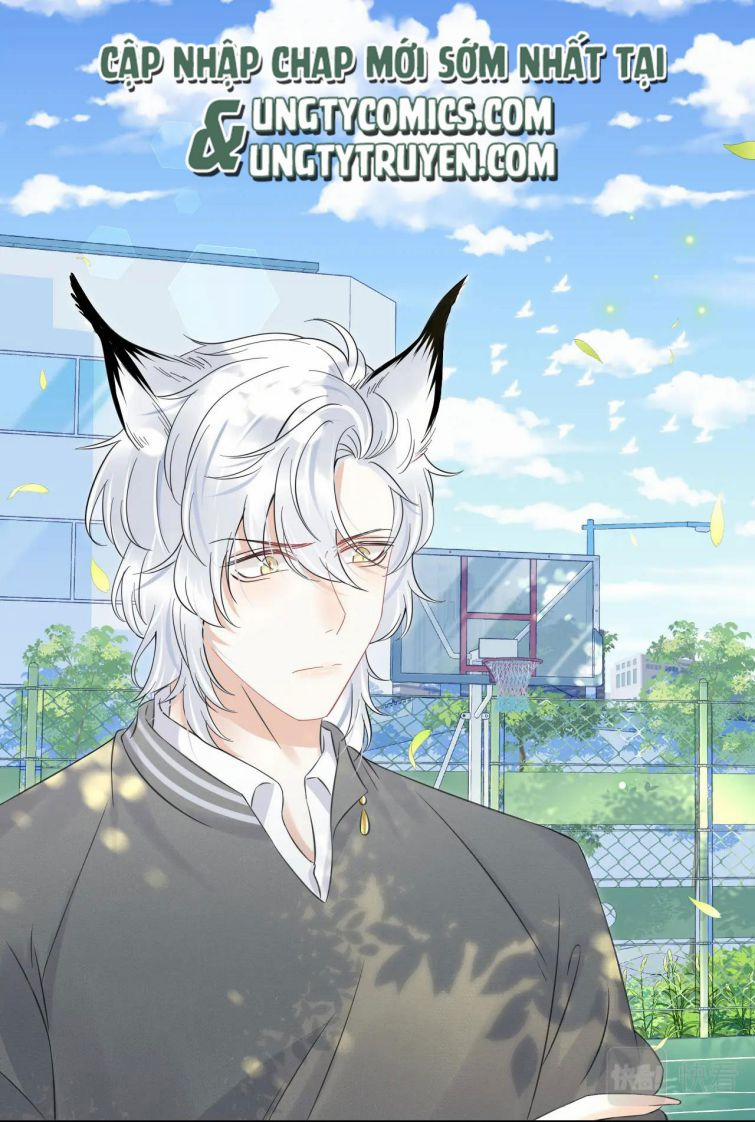 Một Ngụm Nuốt Trọn Thỏ Con 38 trang 2