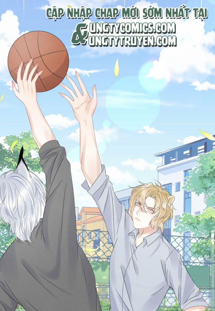 Một Ngụm Nuốt Trọn Thỏ Con 38 trang 23