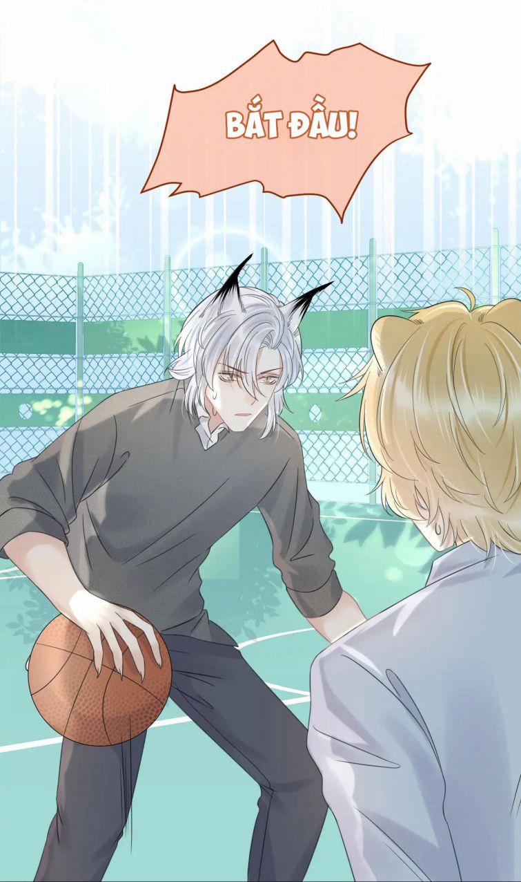 Một Ngụm Nuốt Trọn Thỏ Con 38 trang 40