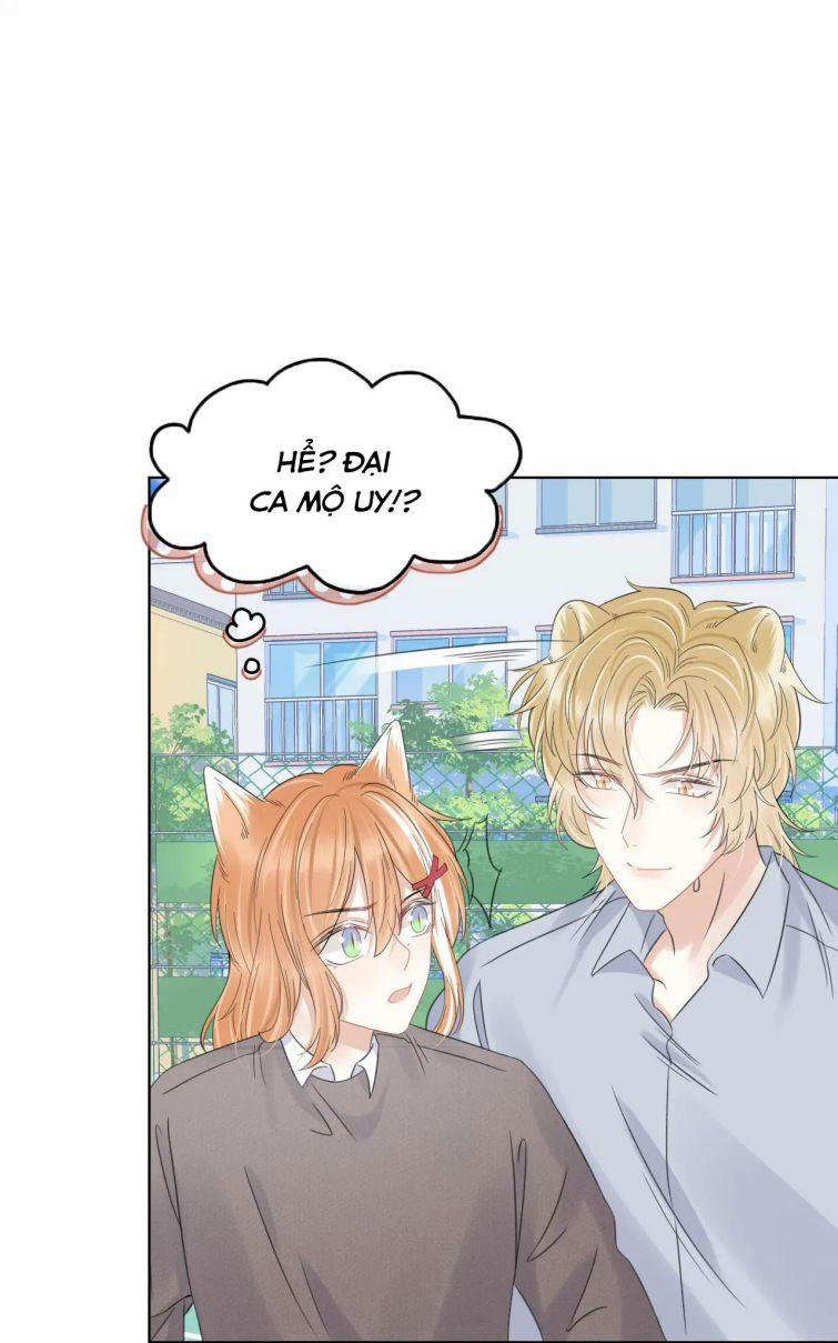 Một Ngụm Nuốt Trọn Thỏ Con 38 trang 42