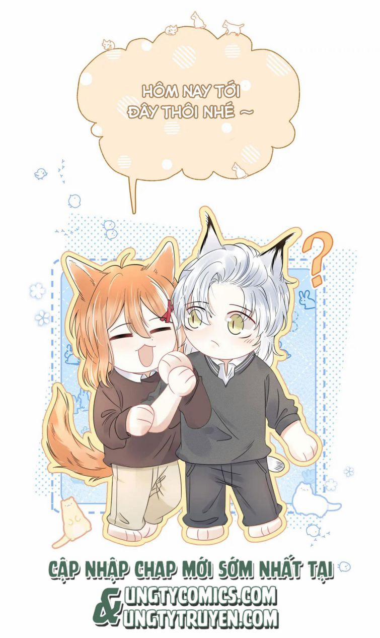 Một Ngụm Nuốt Trọn Thỏ Con 38 trang 59