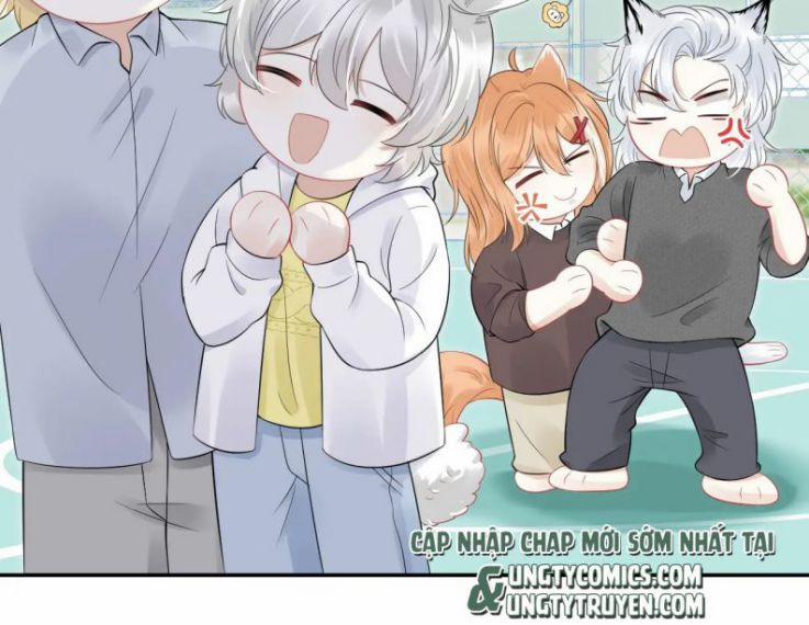 Một Ngụm Nuốt Trọn Thỏ Con 39 trang 2