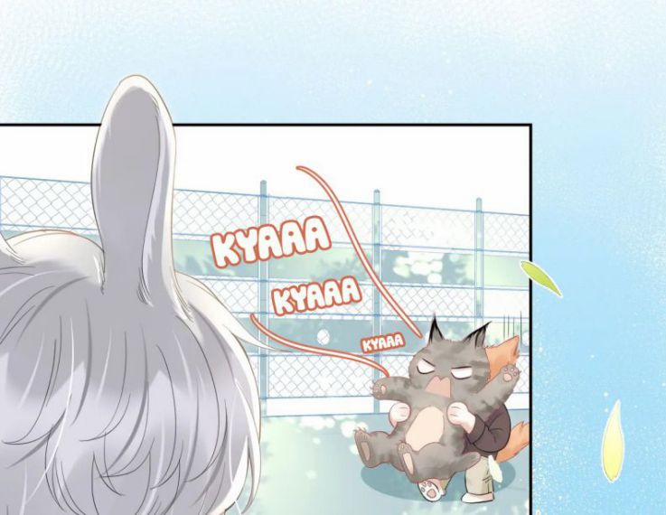 Một Ngụm Nuốt Trọn Thỏ Con 39 trang 5