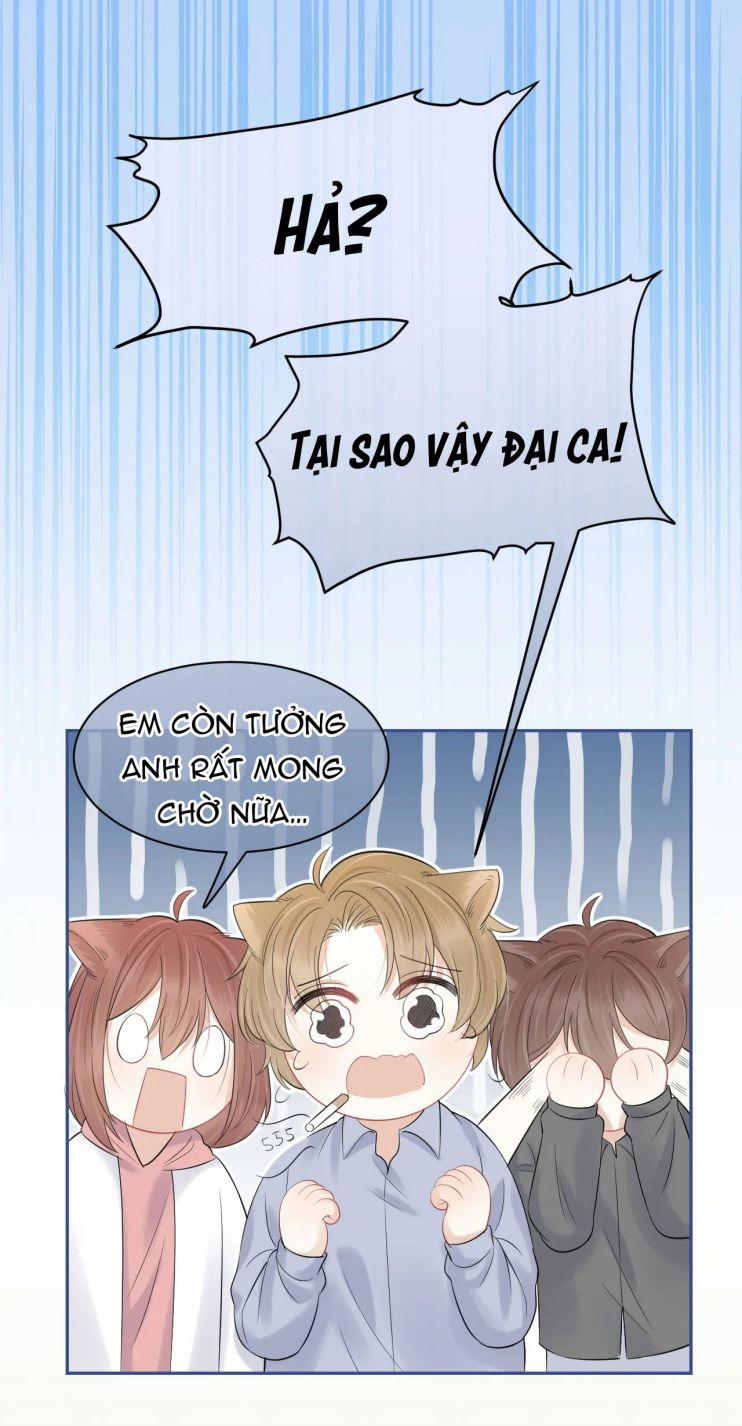 Một Ngụm Nuốt Trọn Thỏ Con 40 trang 20