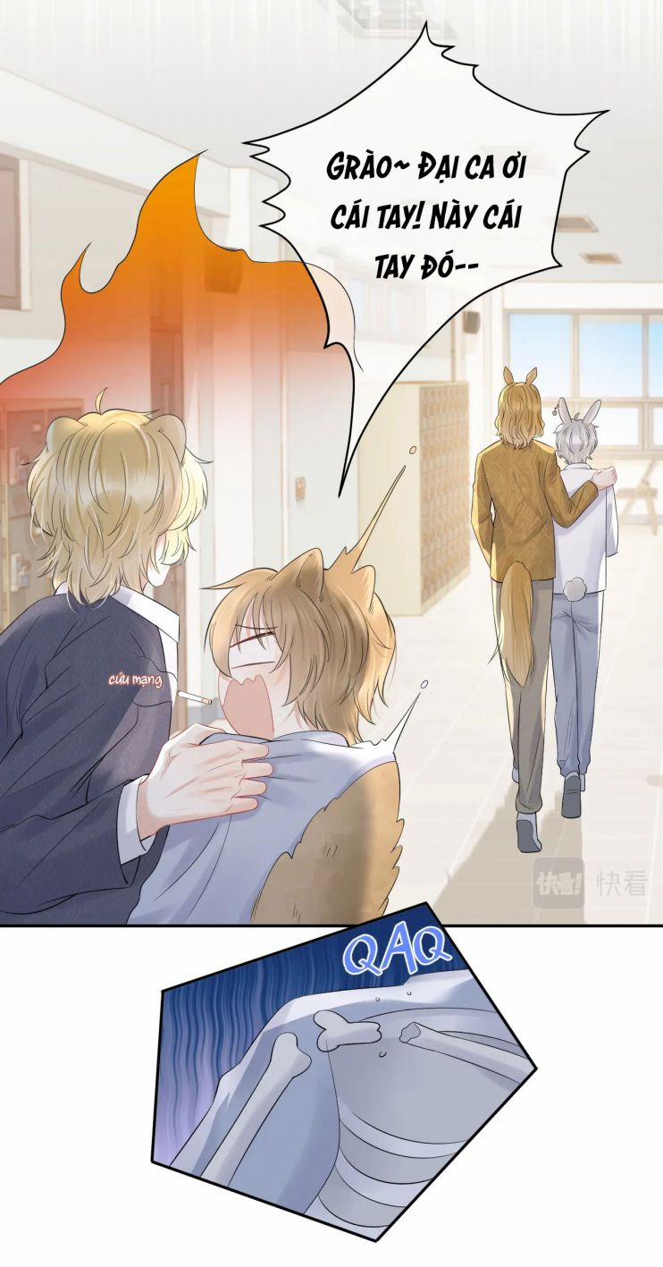 Một Ngụm Nuốt Trọn Thỏ Con 40 trang 24