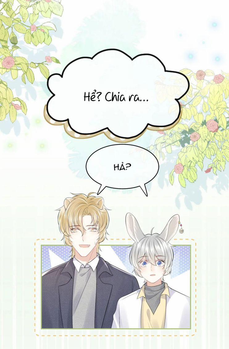 Một Ngụm Nuốt Trọn Thỏ Con 40 trang 6