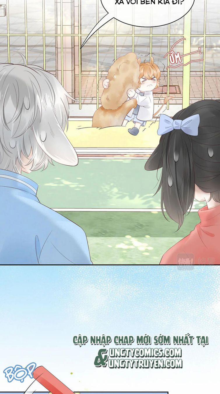 Một Ngụm Nuốt Trọn Thỏ Con 41 trang 33