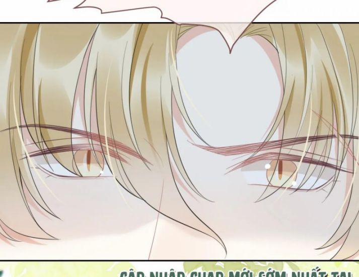 Một Ngụm Nuốt Trọn Thỏ Con 43 trang 4