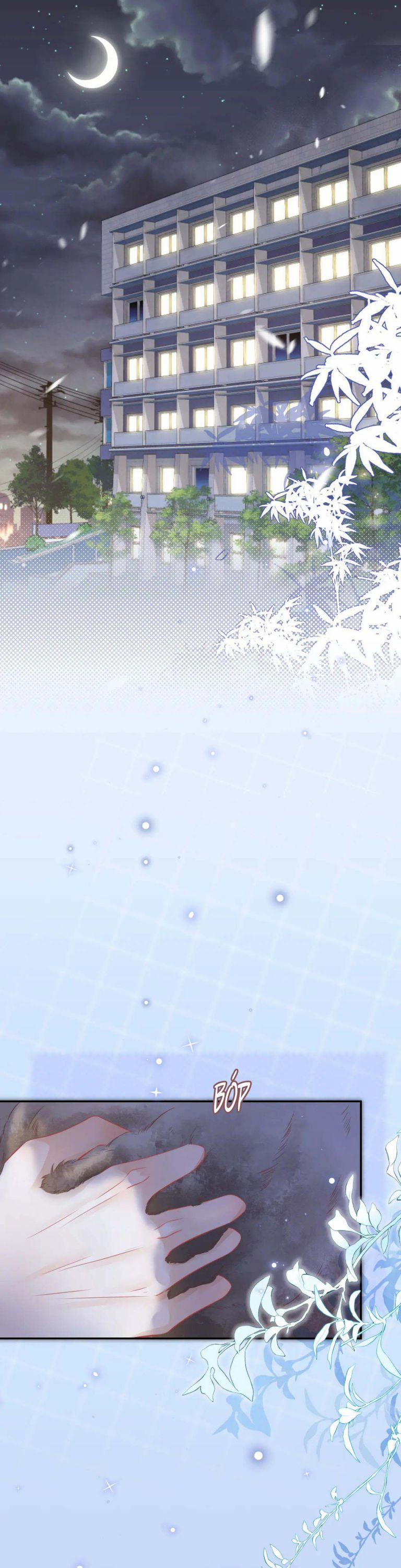 Một Ngụm Nuốt Trọn Thỏ Con 44 trang 17