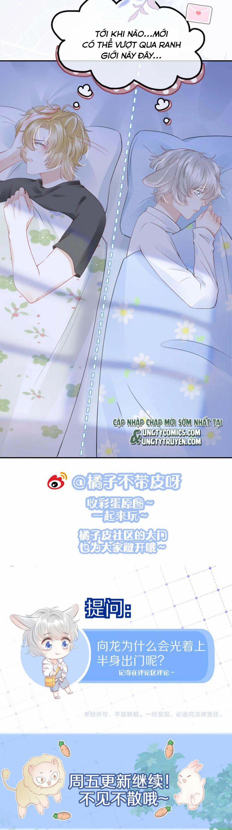 Một Ngụm Nuốt Trọn Thỏ Con 44 trang 20