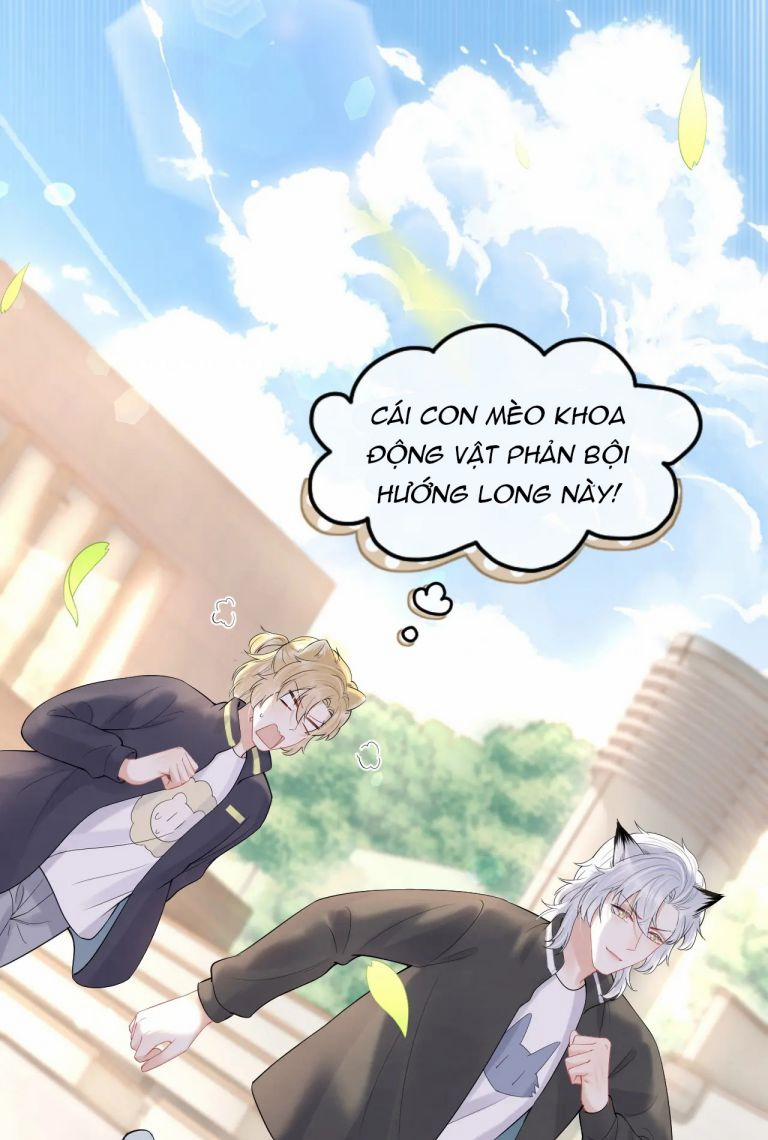 Một Ngụm Nuốt Trọn Thỏ Con 45 trang 39