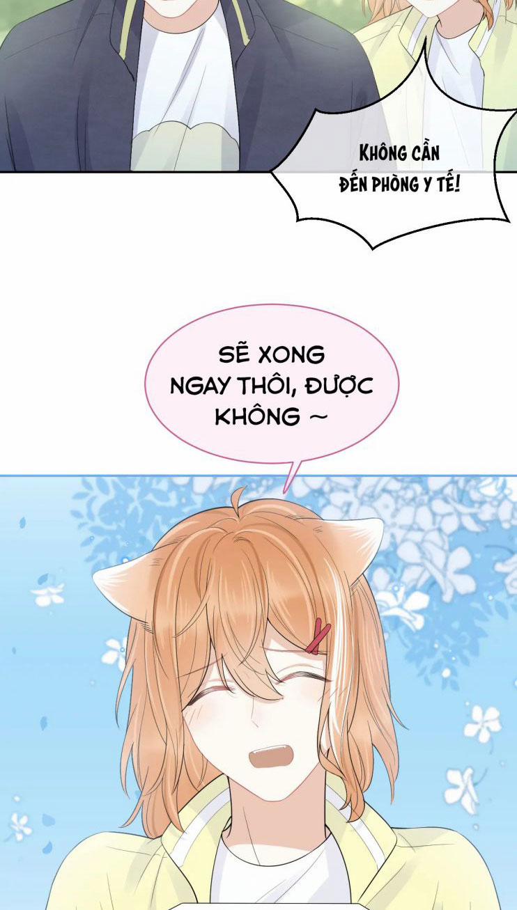 Một Ngụm Nuốt Trọn Thỏ Con 48 trang 12