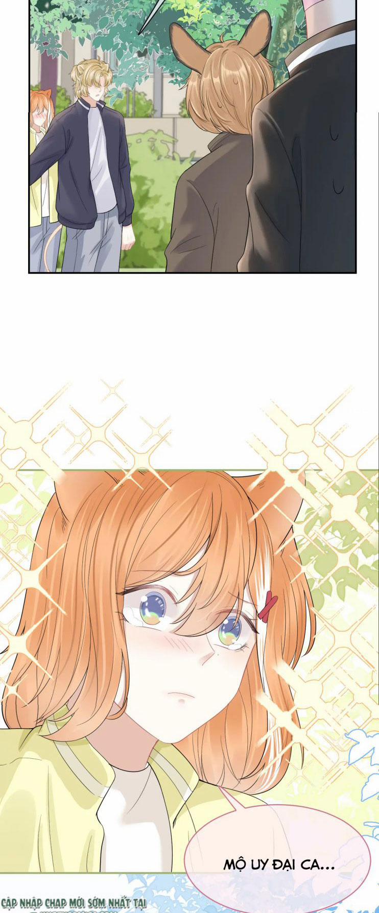 Một Ngụm Nuốt Trọn Thỏ Con 48 trang 22