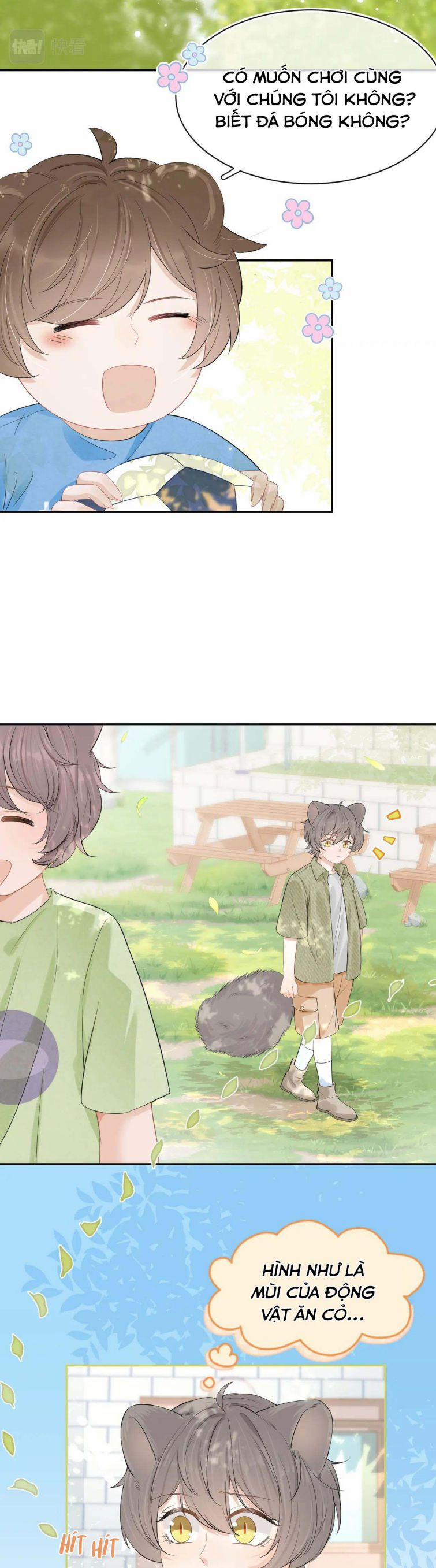 Một Ngụm Nuốt Trọn Thỏ Con 51 trang 4