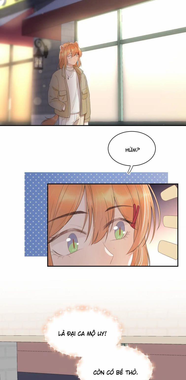 Một Ngụm Nuốt Trọn Thỏ Con 55 trang 28