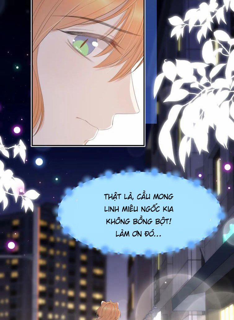 Một Ngụm Nuốt Trọn Thỏ Con 55 trang 52