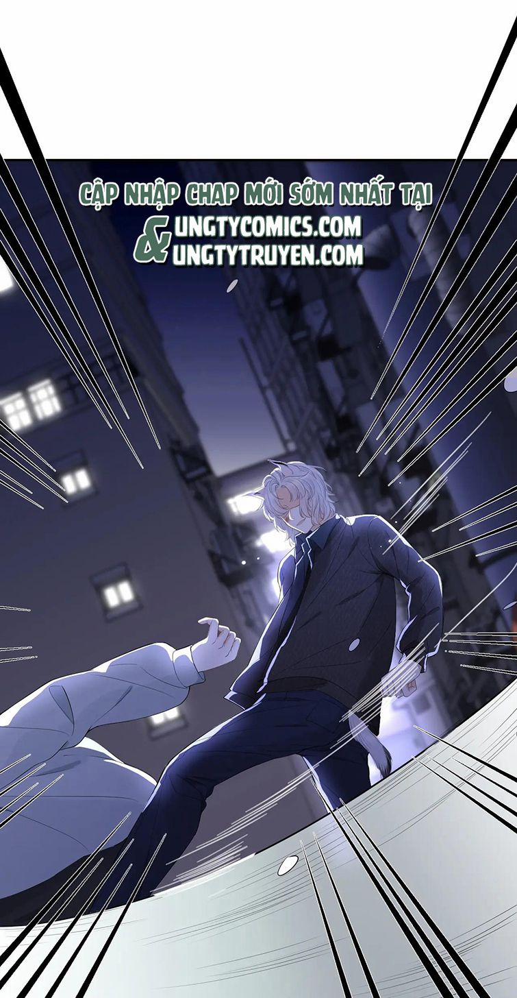 Một Ngụm Nuốt Trọn Thỏ Con 56 trang 0