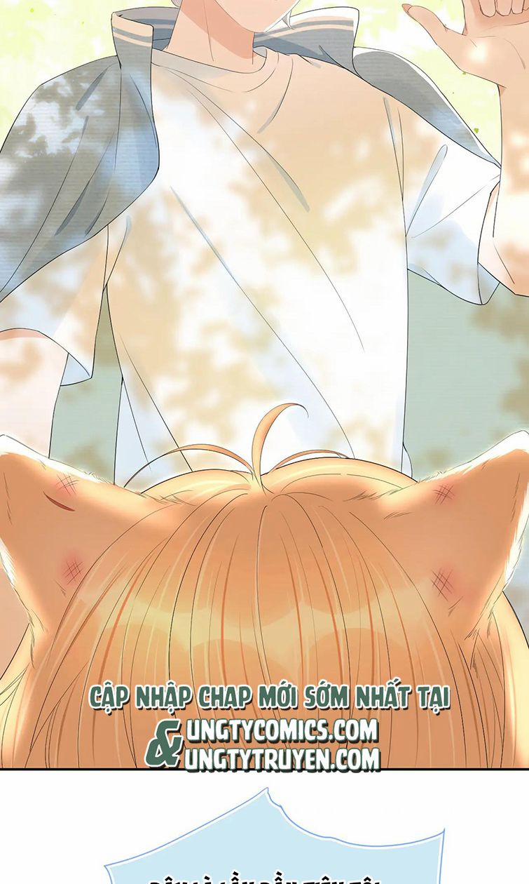 Một Ngụm Nuốt Trọn Thỏ Con 56 trang 15