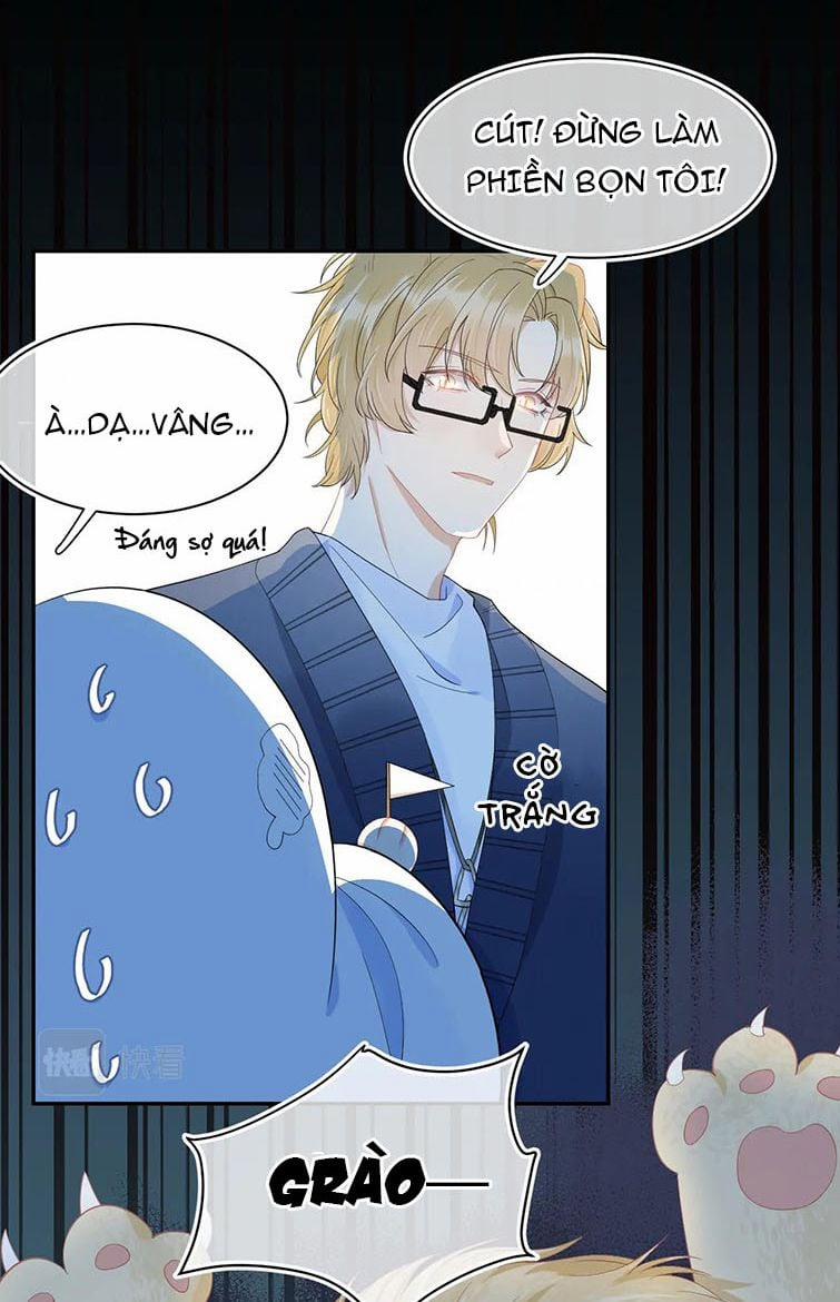 Một Ngụm Nuốt Trọn Thỏ Con 62 trang 21