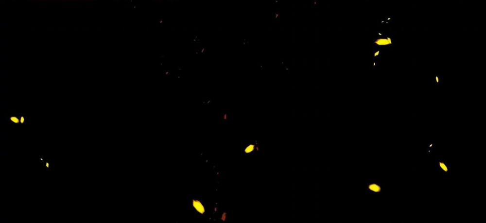 Một nhân cách khác 21 hachiennhom trang 99