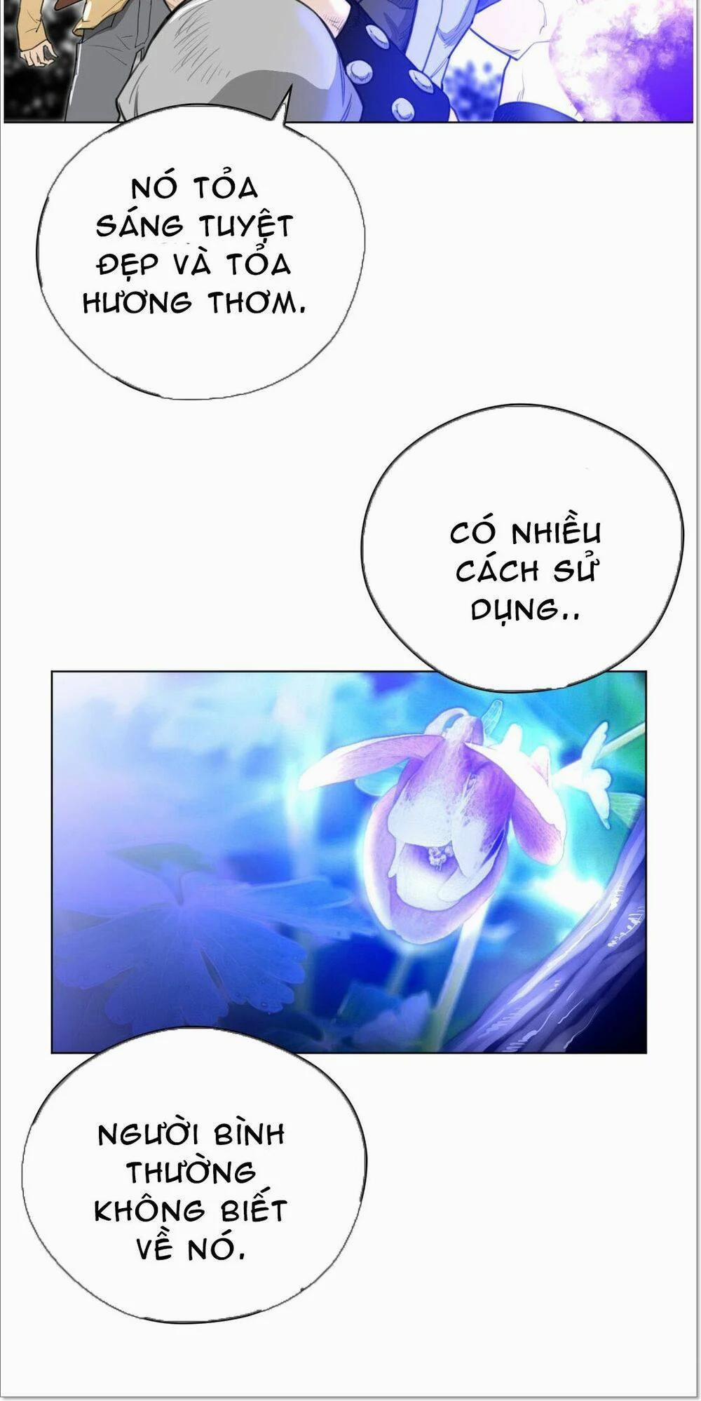 Một Nửa Hoàn Hảo 24 trang 19