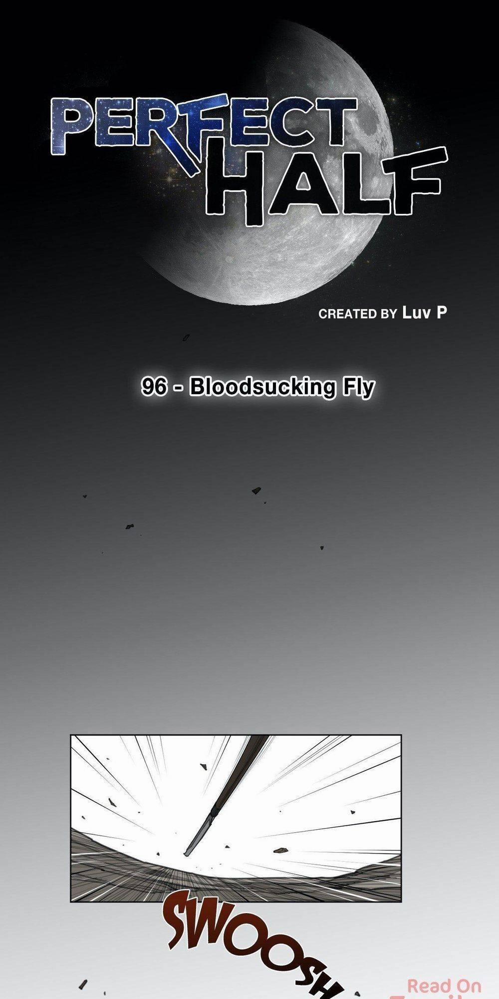 Một Nửa Hoàn Hảo 96 trang 6