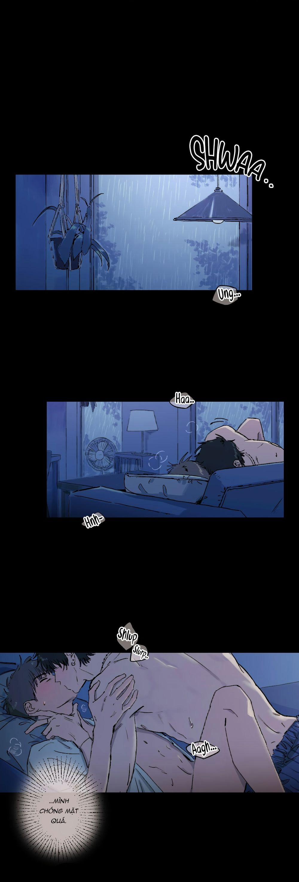 Mùa Hạ Đầu Tiên 1 trang 0