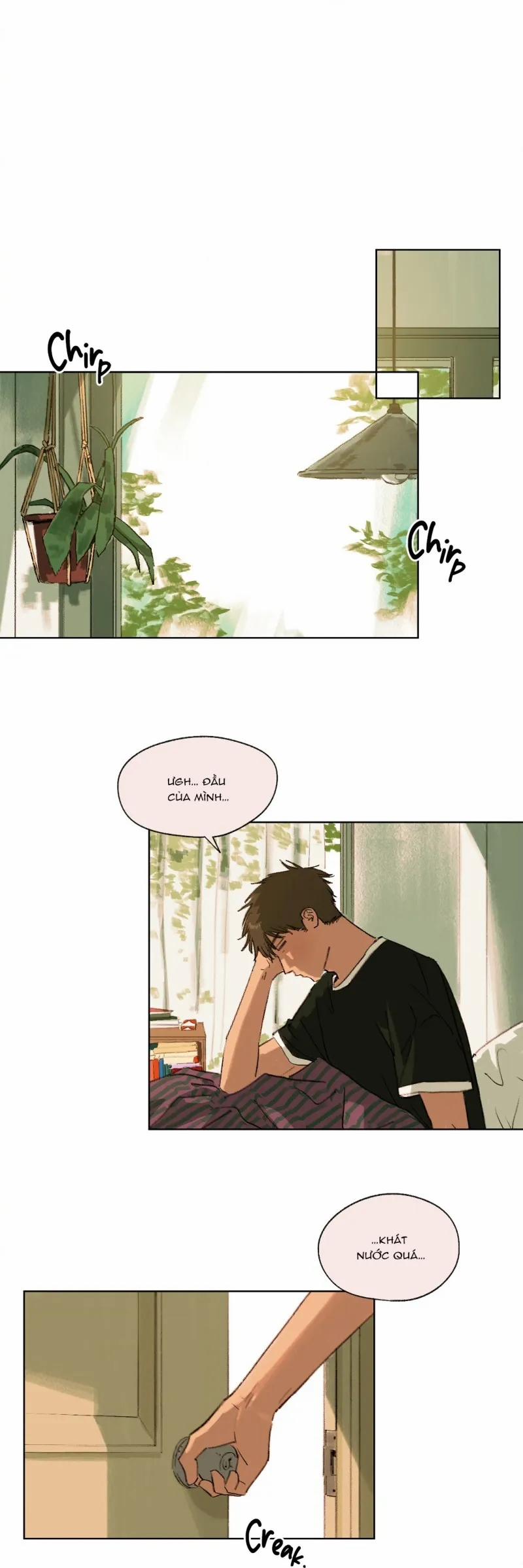 Mùa Hạ Đầu Tiên 10 trang 0