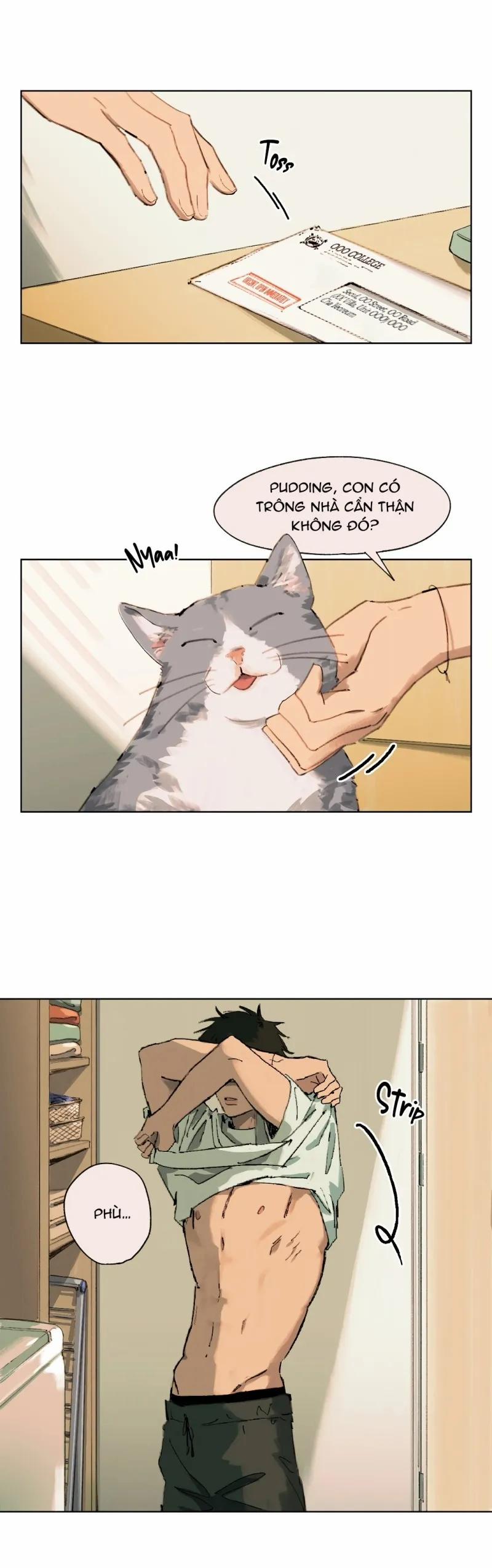 Mùa Hạ Đầu Tiên 4 trang 17