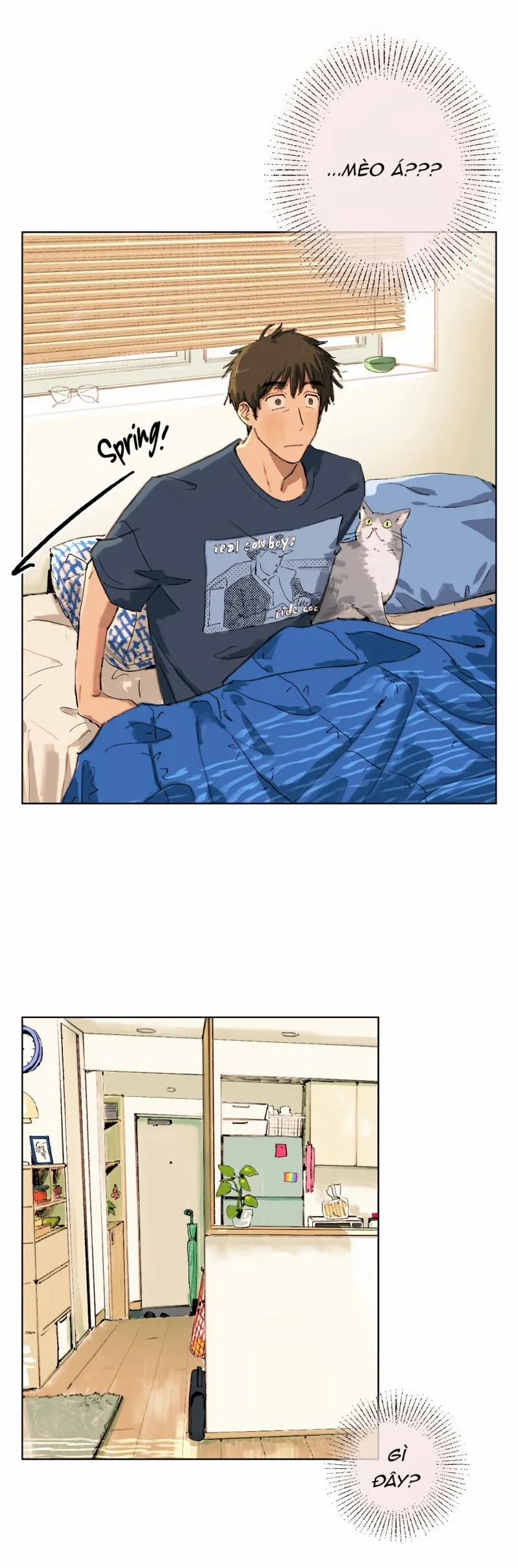 Mùa Hạ Đầu Tiên 4 trang 2