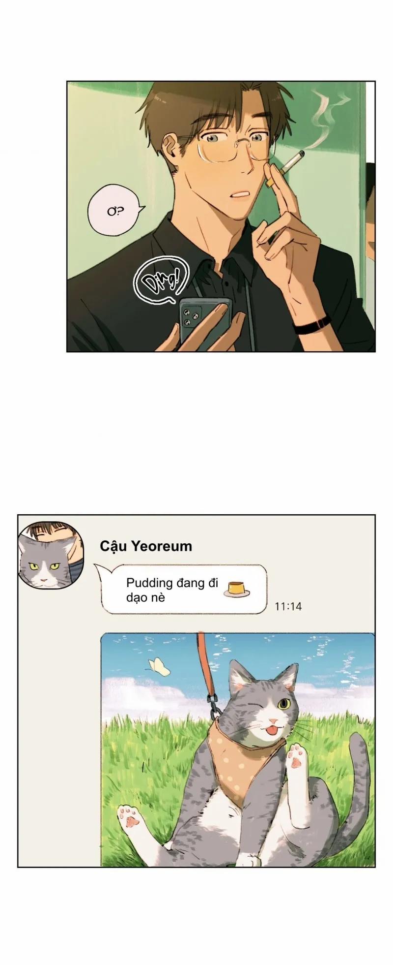 Mùa Hạ Đầu Tiên 9 trang 1