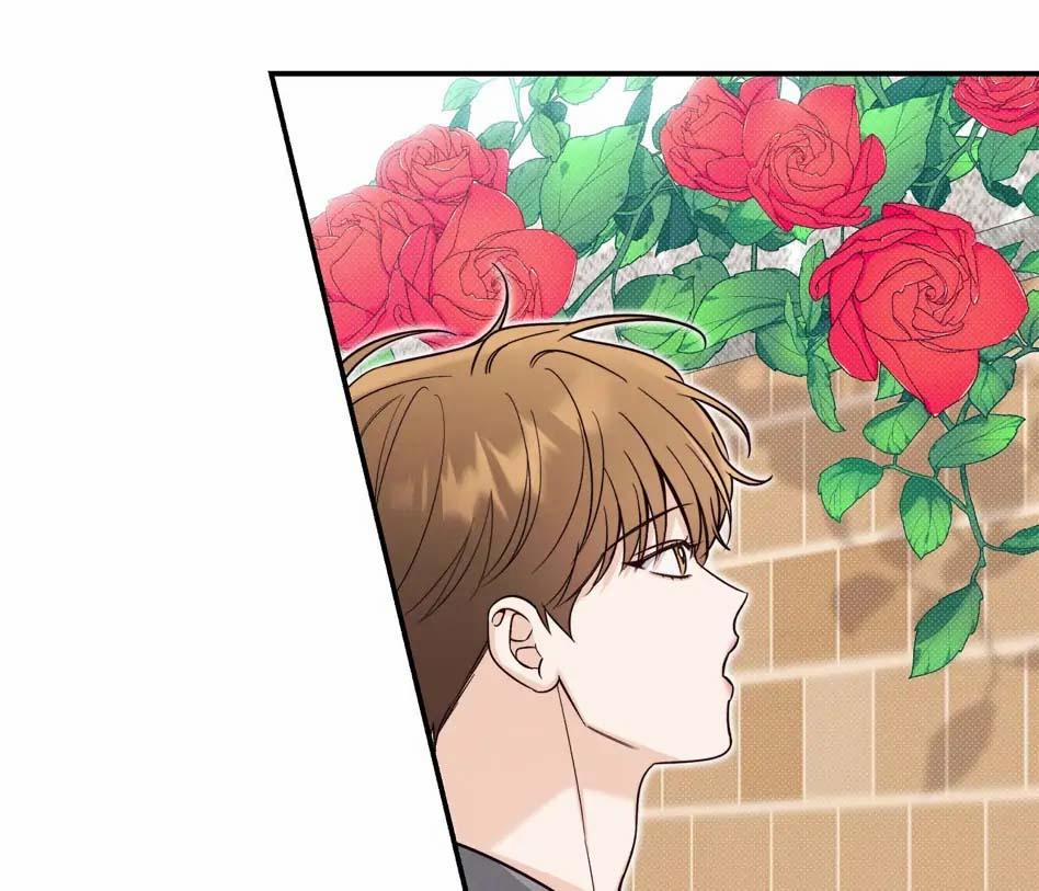 Mùa Hè Năm Ấy 37 trang 35