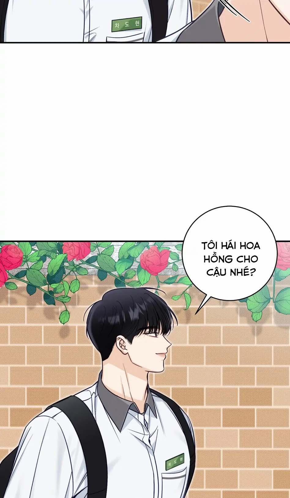 Mùa Hè Năm Ấy 37 trang 40