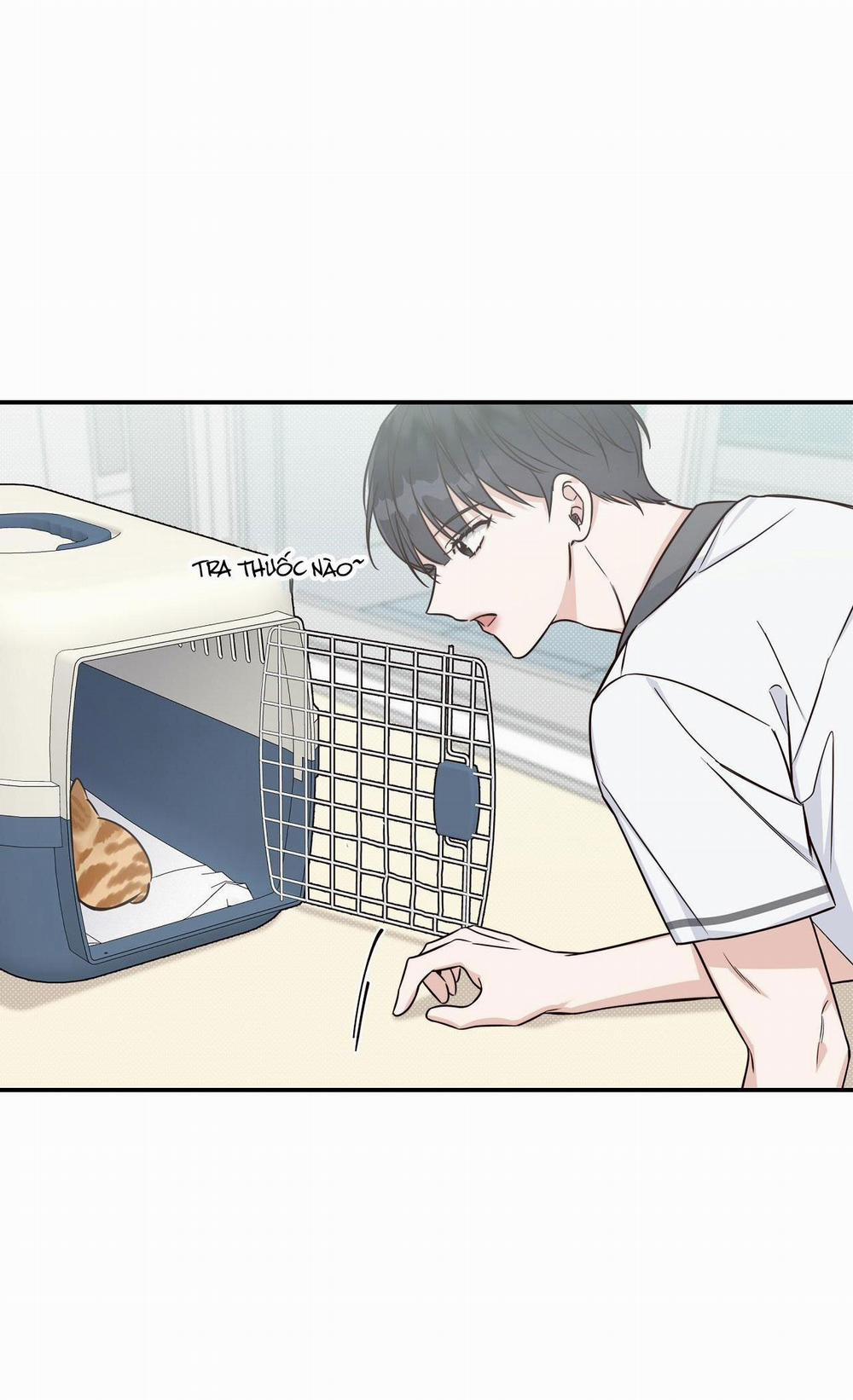 Mùa Hè Năm Ấy 7 trang 21